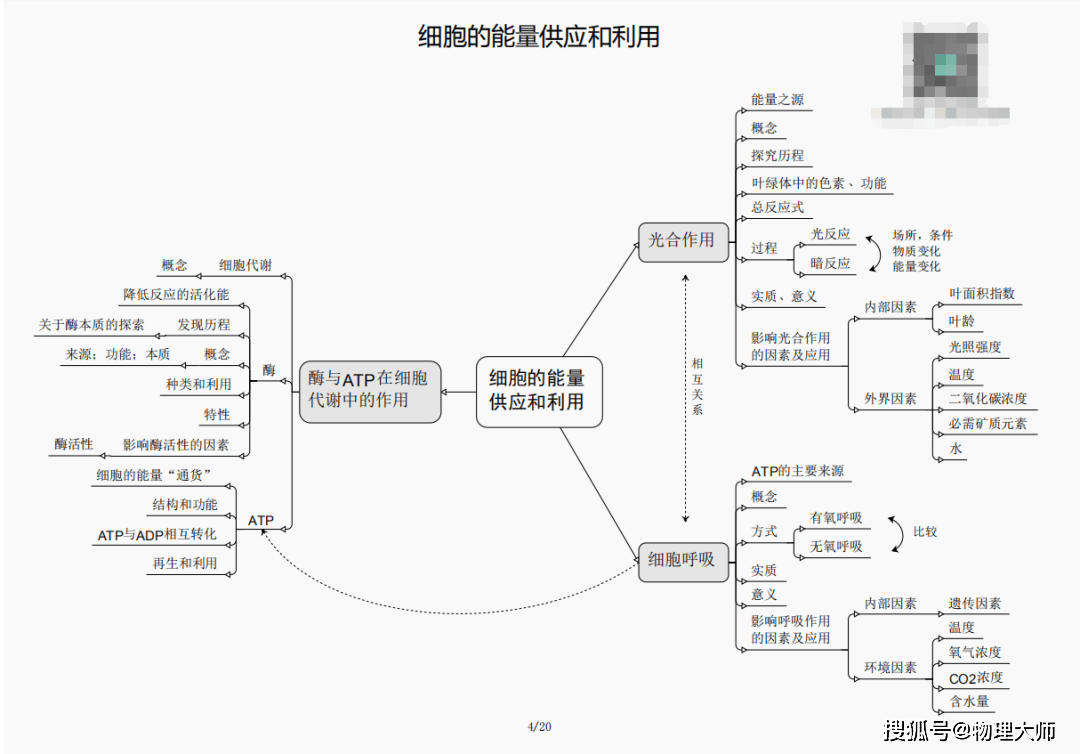 三肖必中三期必出凤凰网2023