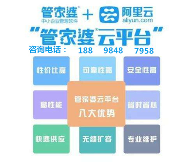 777888888管家婆王中王_持续设计解析策略_标准版33.860